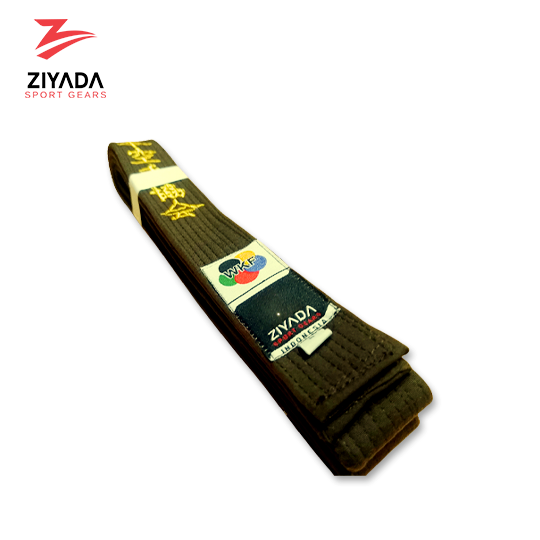 ziyadasport.com