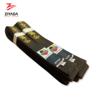 ziyadasport.com