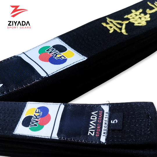 ziyadasport.com
